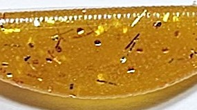 Gold Shad - 202