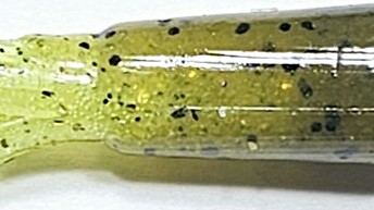Chart Craw - 302