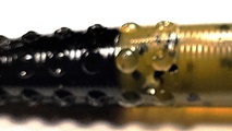 Black Craw - 303