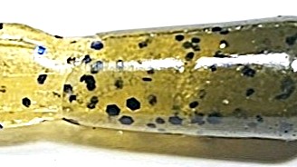 Fall Craw - 310